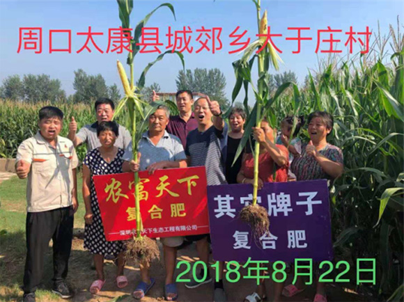 ��������������͏�(f��)�Ϸ���17-17-17-�r(n��ng)������6