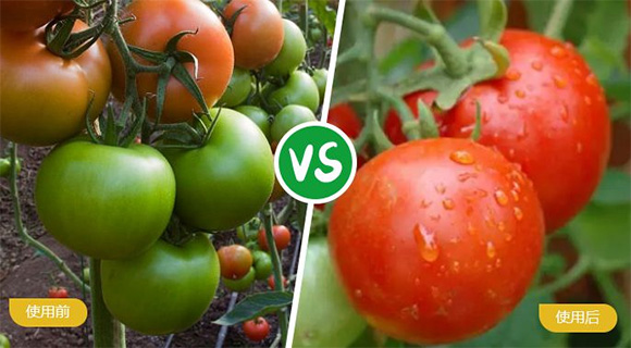 ���ь��ô���Ԫ��ˮ�ܷ���19-19-19+TE-�r(n��ng)������5