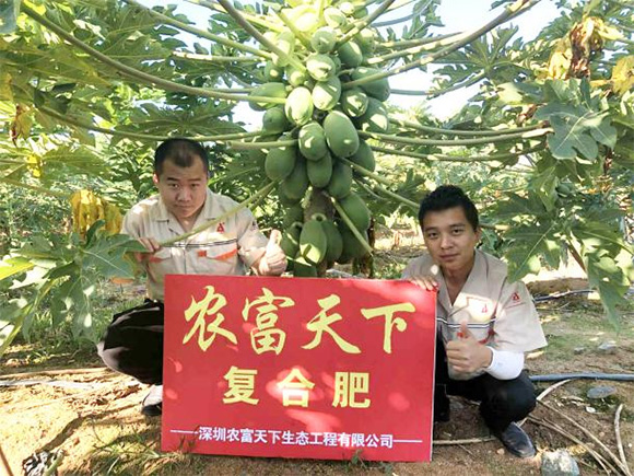 �������������ͺ���15-4-28�r������3