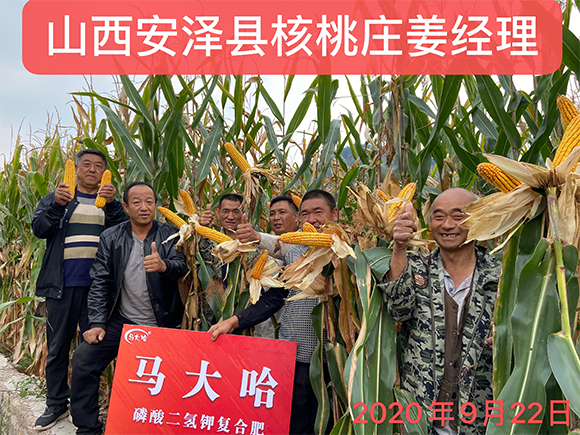 ���׌������������͏�(f��)�Ϸ���26-11-11-�R���-�r(n��ng)������4