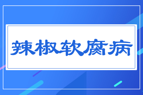 辣椒軟腐病