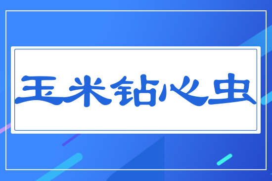 �����@���x