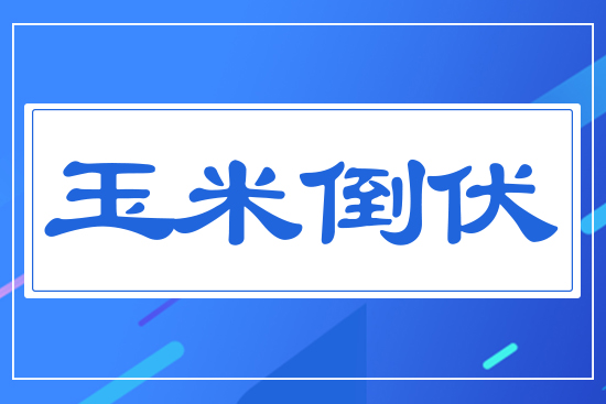 ���׵���