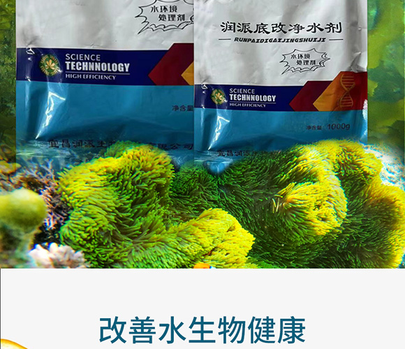 ��(r��n)�ɵ׸ă�ˮ��-��(r��n)������_02