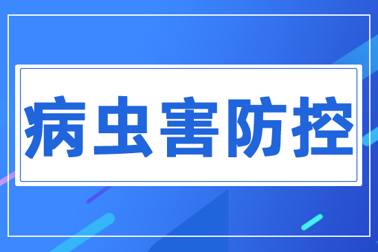 ���x������