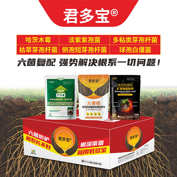 QQ圖片20260430094740