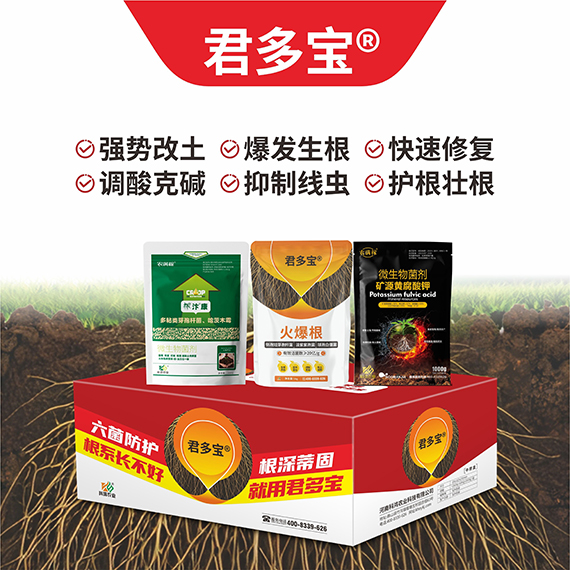 QQ圖片20260430094751