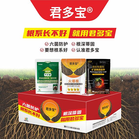 QQ圖片20260430094744