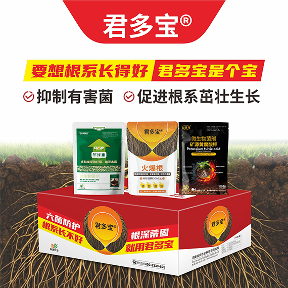 QQ圖片20260430094748