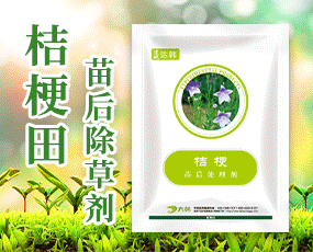 ���ݴ��n����ƌW���޹�˾