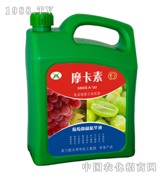 �����־����AҺ-Ħ����-��о���H