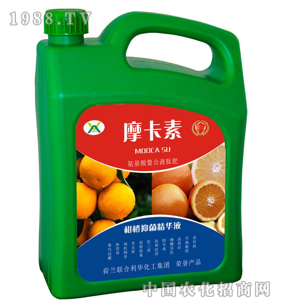 �̳��־����AҺ-Ħ����-��(qi��ng)о��(gu��)�H