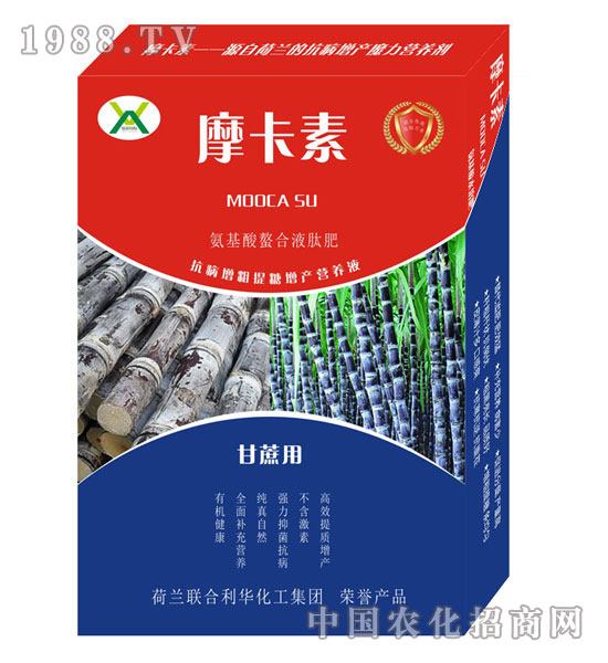 ���ጣ�ð���������Һ�ķ�-Ħ����-��о���H