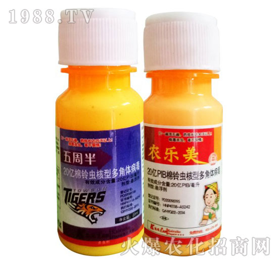 ����x���Ͷ���w����-���ܰ�+�r(n��ng)����-�P���