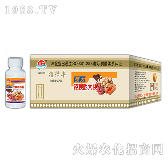 100g��������-�挚�r��