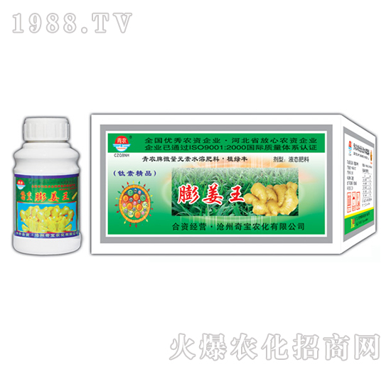 200g����-�挚�r��