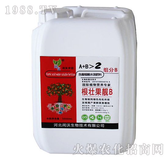 ���ѹ��nB-�c��