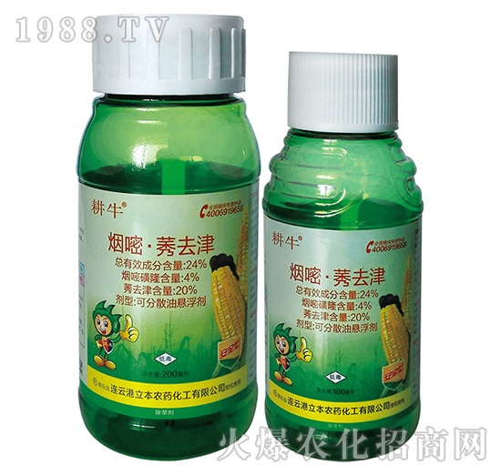 24%����ݬȥ��Ҹ���-��ţ-��������