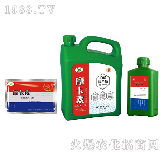 �V�V���־����AҺ���M�ϣ�-Ħ����-��(qi��ng)о��(gu��)�H