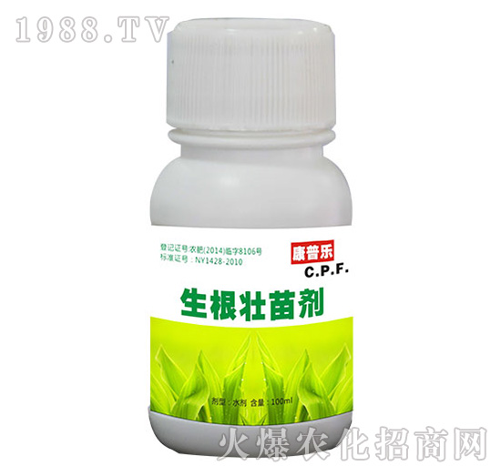 �������焩-�r�_����