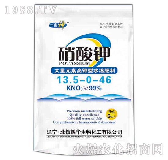 �����-һ����