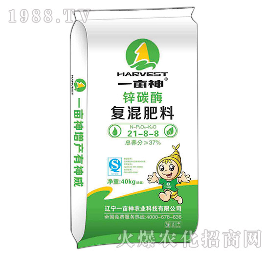 �\̼ø�ͻ��21-8-8-һ����