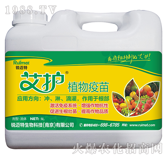 ���oֲ������-�J�~��