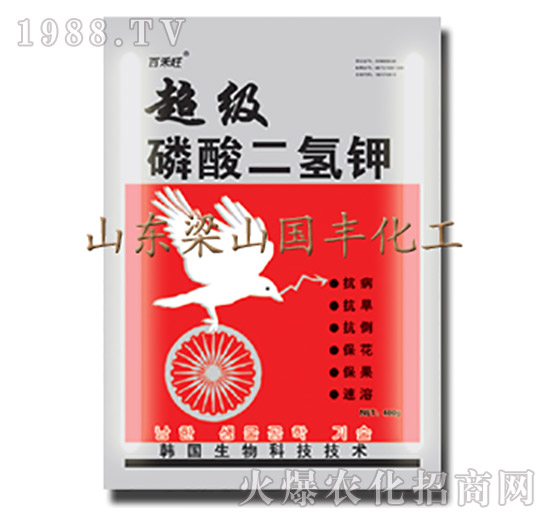 超級(jí)磷酸二氫鉀-梁山國(guó)豐
