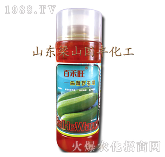 �����J��(zhu��n)���~���-��ɽ��(gu��)�S