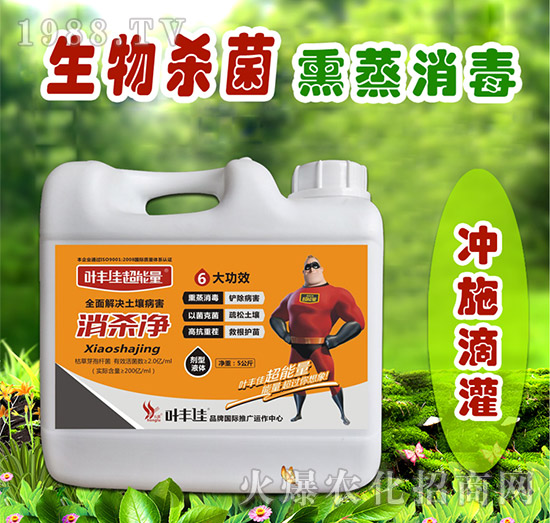 ����������-�~�S�ѳ�����