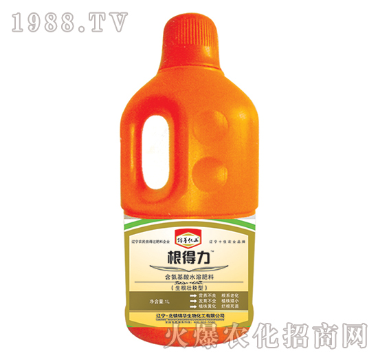 ������-һ����