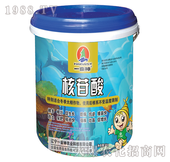 ������-һ����