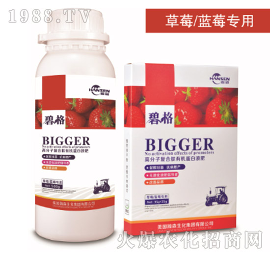 草莓專(zhuān)用高分子復(fù)合肽有機(jī)蛋白液肥-碧格-瀚森農(nóng)業(yè)