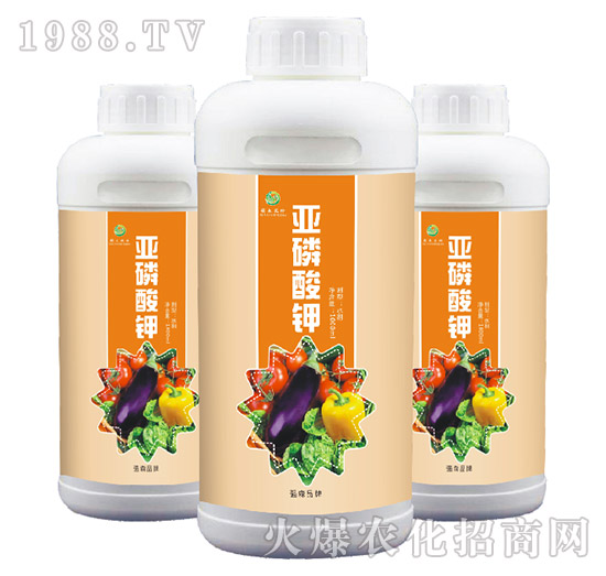 �������-��ɭ�r��