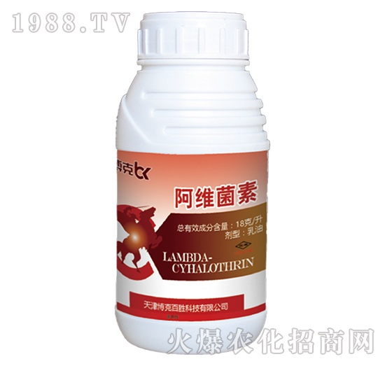 18��ÿ�����S����-���˰ل�