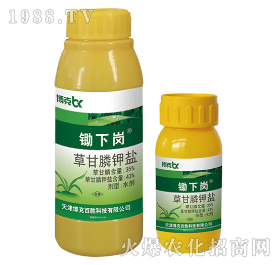 43%�ݸ����}-�z��-���˰ل�