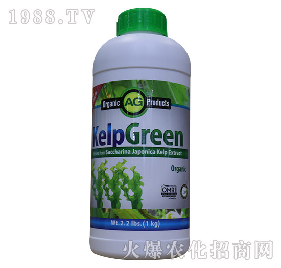 ø�⺣��ʣ�1kg��-���º���