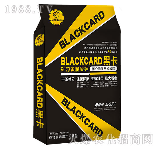 �VԴ�S�����-�ڿ�-�Z��