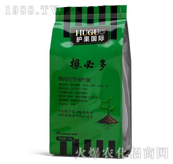 ���ض�-�o�����H