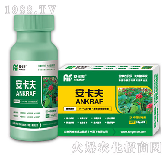 ��ˎ�Č�(zhu��n)���~���-������