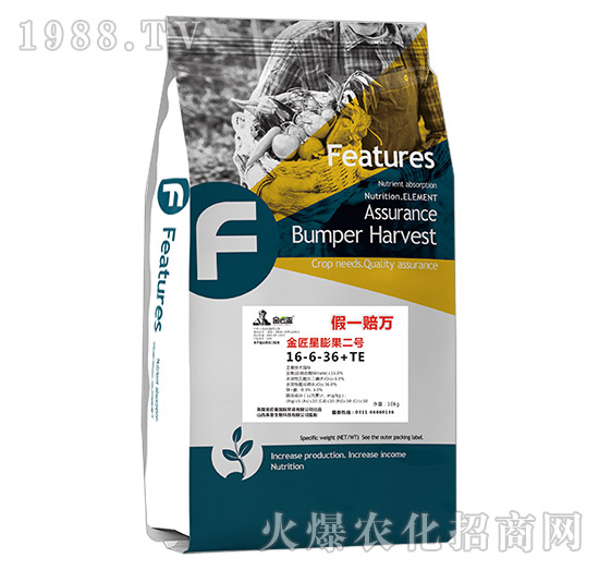 ���������̖(h��o)���16-6-36+TE-����