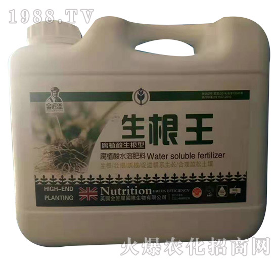 ������-����