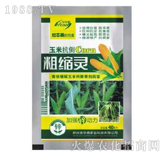 ���׿����ֿs�`-�W��ɭ