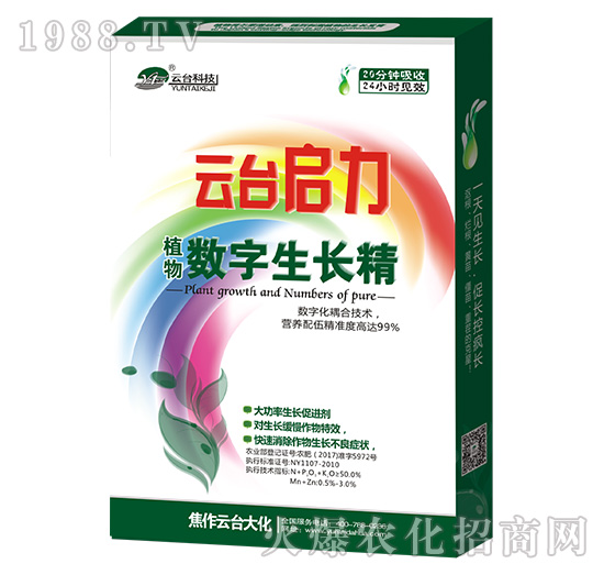 云臺啟力-云臺大化