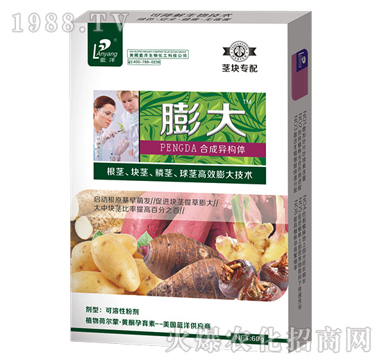 莖塊專(zhuān)配膨大-云臺(tái)大化