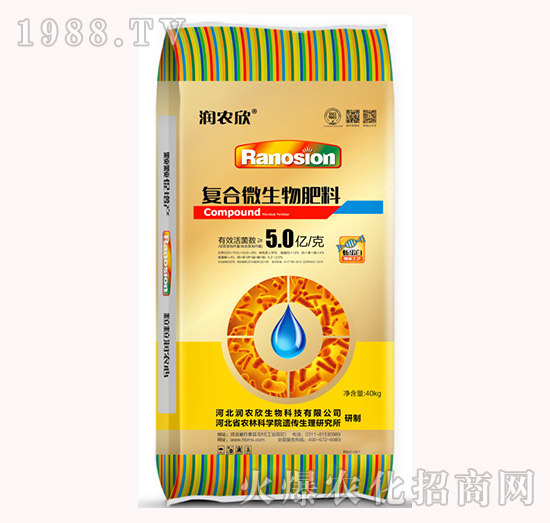 ��(f��)��΢�������-��(r��n)�r(n��ng)��