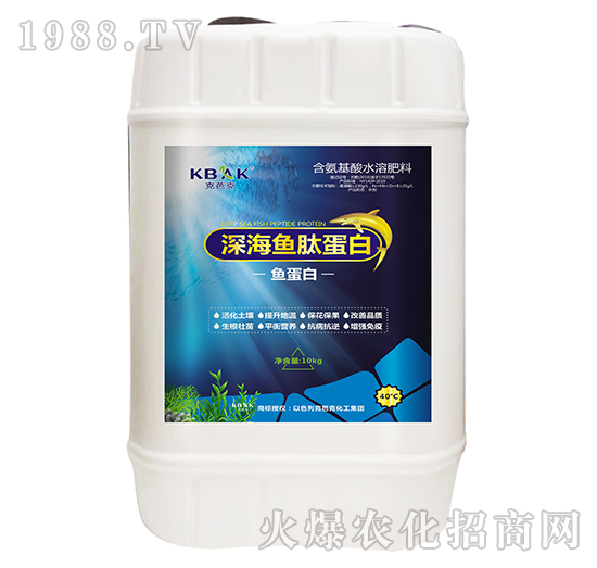 ��~�ĵ���-�˰ſ�