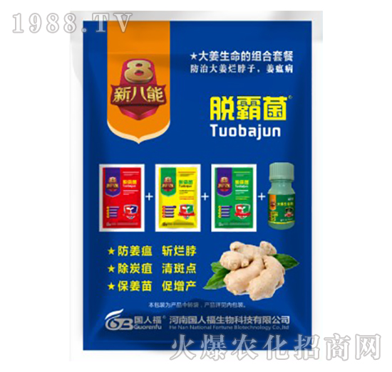 �������M���ײ�-Ó�Ծ�-���˸�