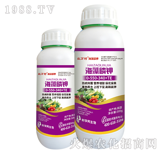 �������-�������-���˹����r��