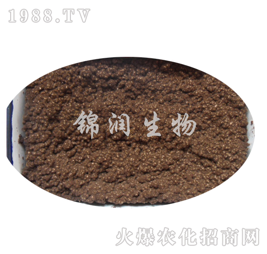 ����ù�P����-�\��(r��n)����